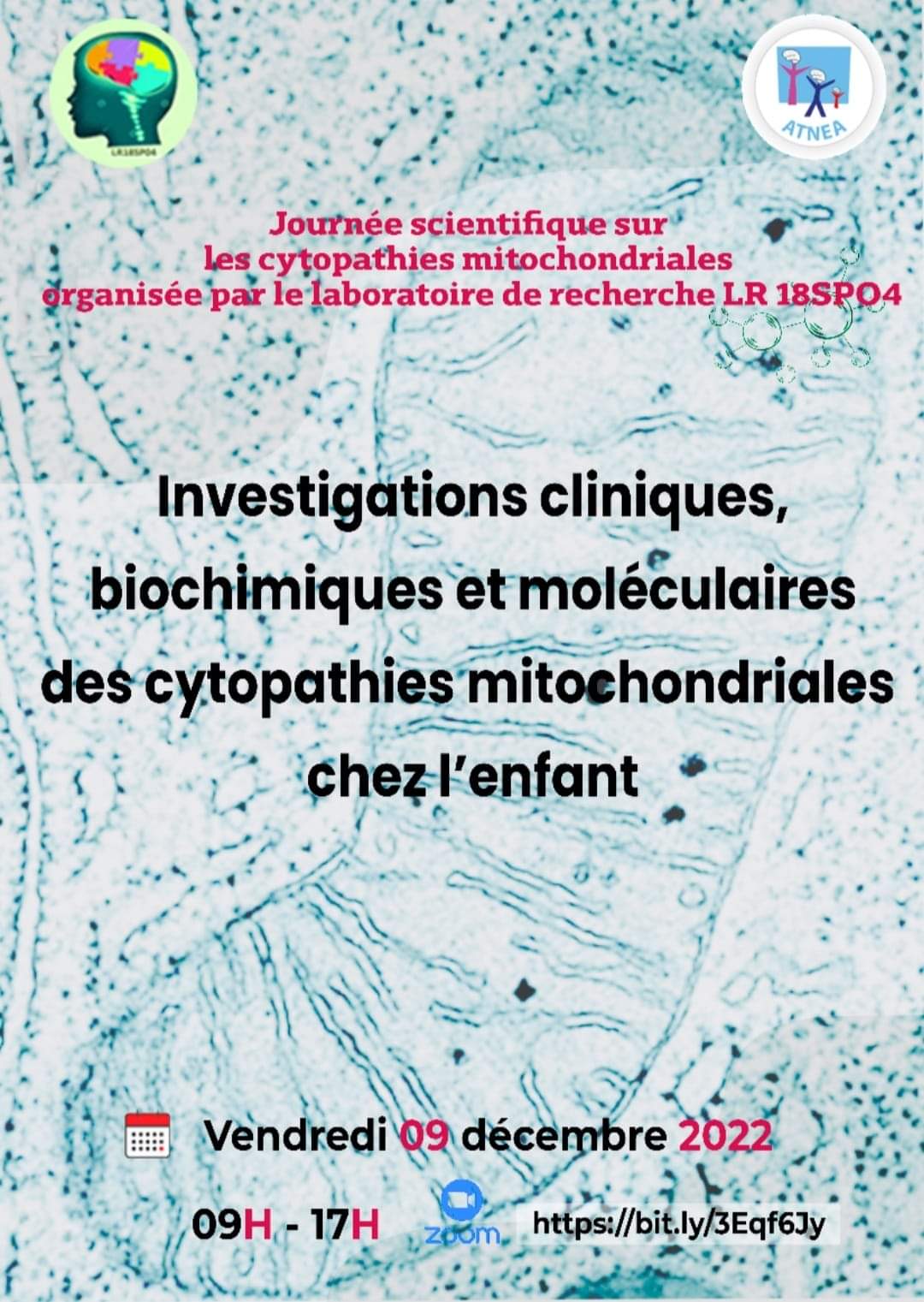 Journée scientifique sur les cytopathies mitochondriales organisée par le laboratoire de recherche LR 18SP04